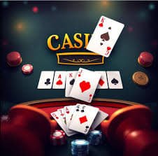 333bet com