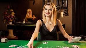 333bet com
