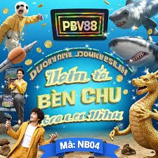 333bet com